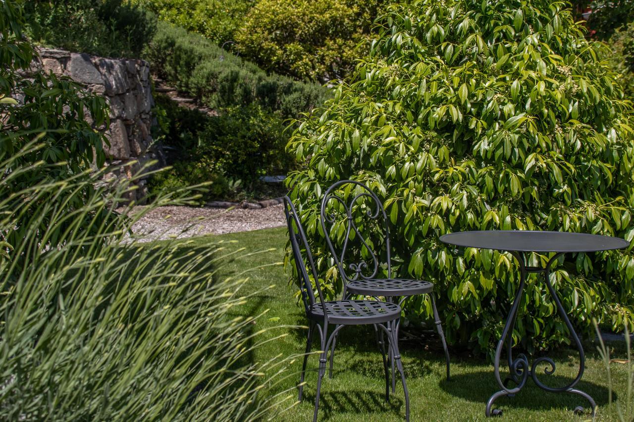 Pianello Del Lario Agriturismo Treterre מראה חיצוני תמונה