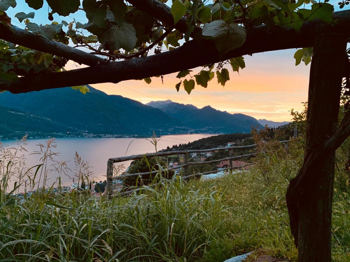 Pianello Del Lario Agriturismo Treterre מראה חיצוני תמונה